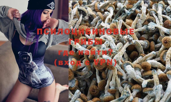 экстази Алексеевка